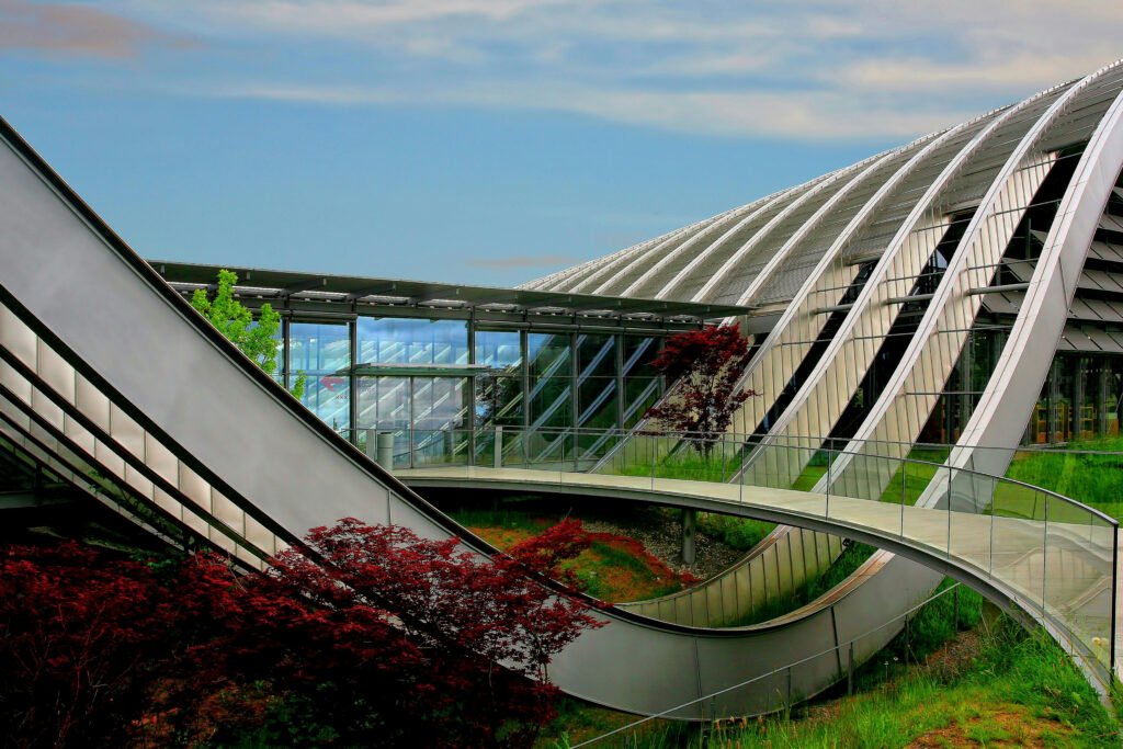 ricardo-gomez-angel-opFPVxMRpP8-unsplash